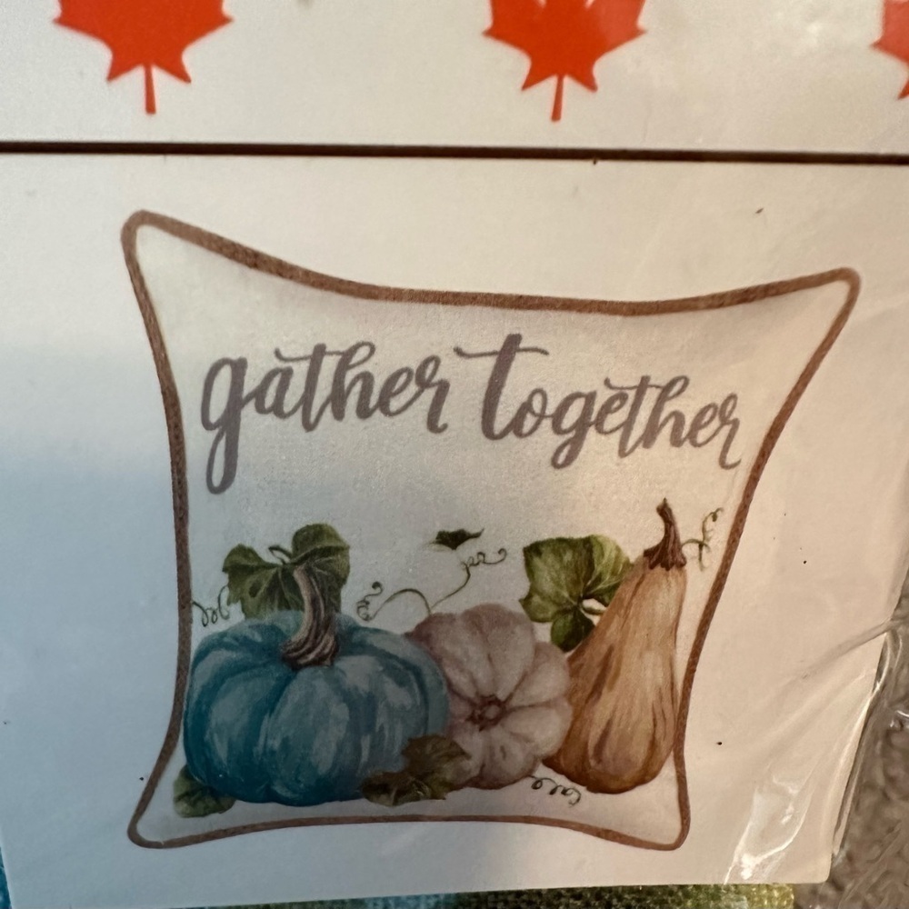 Fall 17x17 Gather Pillow Covers NWT Set of 2
